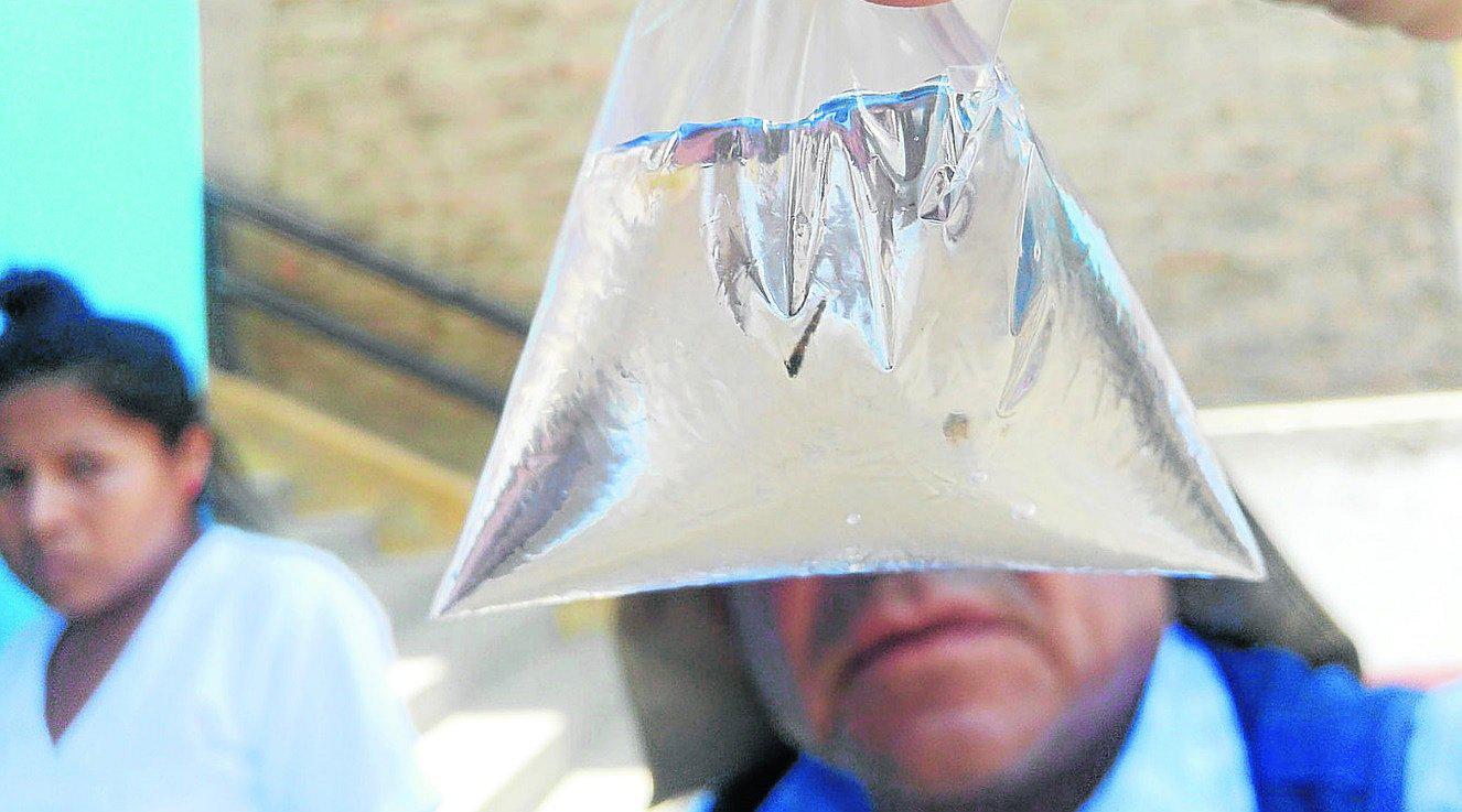 Los casos confirmados de dengue se disparan a 277 solo en Coishco y Chimbote 