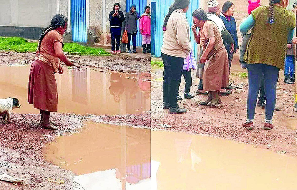 Tres perros atacaron salvajemente a mujer en Juliaca