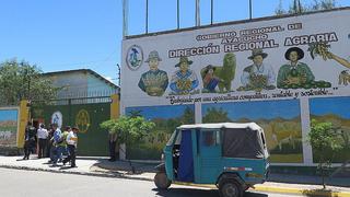 Profesionales sin experiencia laboran en el sector agrario de Ayacucho