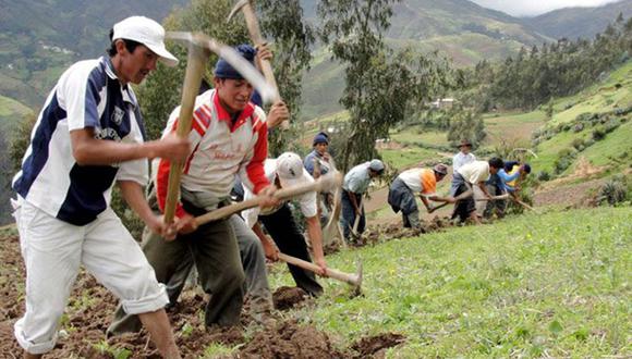 Producción agropecuaria de Perú creció en 2,4 % 