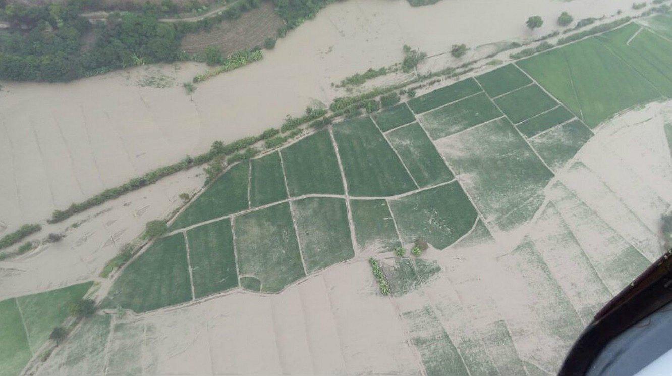 Más de 3 mil hectáreas de cultivo son afectadas por lluvias en La Libertad