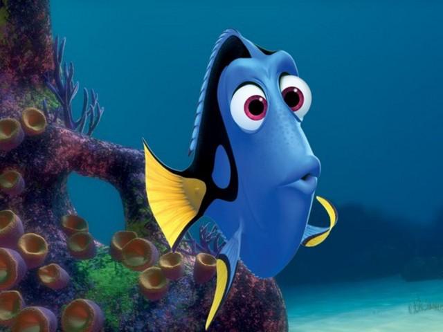 YouTube: ​Mira el avance del filme “Buscando a Dory” en español