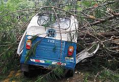 Mototaxista muere aplastado al caer un árbol sobre su vehículo, en Pasco