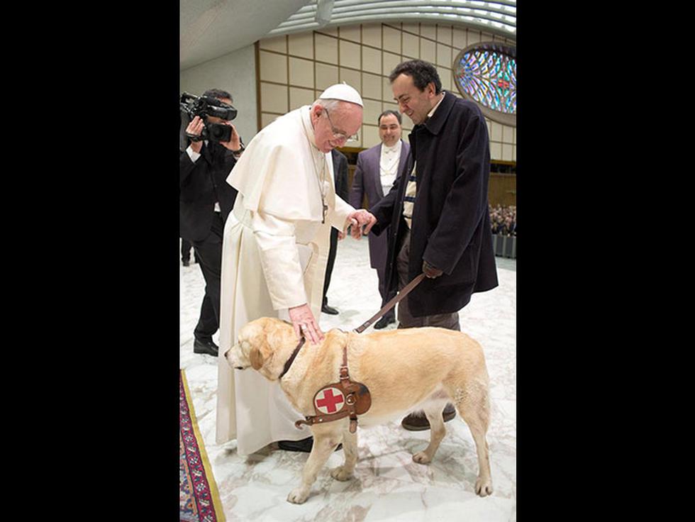 Papa Francisco bendijo al perro guía de un periodista invidente (FOTOS)