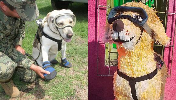 'Frida' la perra rescatista de México es imagen de distintos productos 