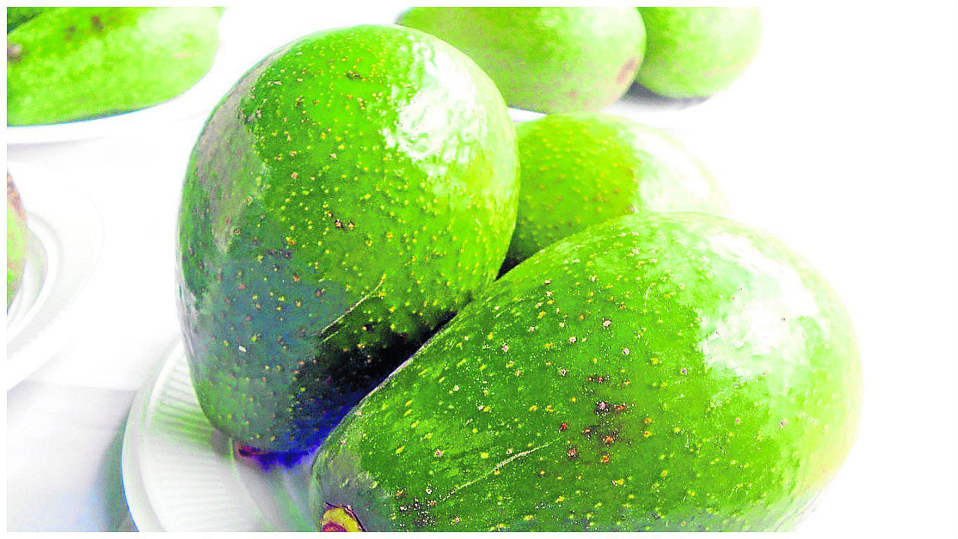 ​En Huancavelica 300 agricultores logran productos agroecológicos (