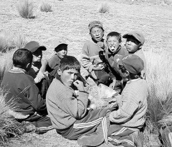 El aymara ya no se enseña en los colegios