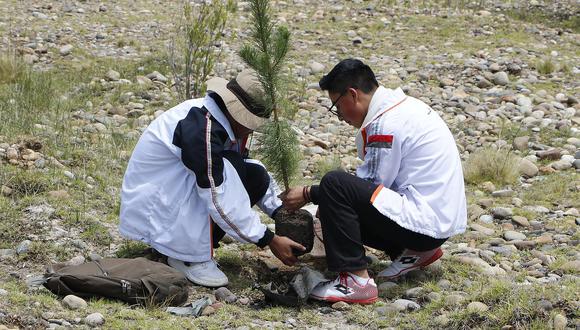 Escolares y comunidad campesina unen esfuerzos para plantar un millar de árboles 