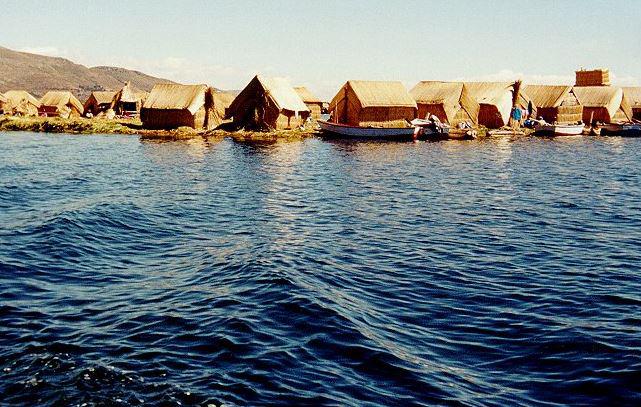Rana gigante del Titicaca es de interés regional en Puno