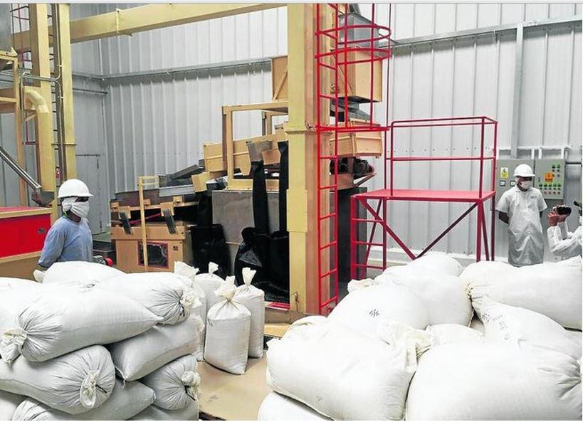 Puno: Inauguran planta procesadora de productos de quinua de exportación