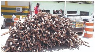 Decomisan algarrobo ilegal en Piura