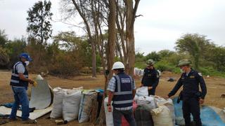 Incautan 10 mil kilos de pescado crudo y seco que eran procesados de manera ilegal en Piura