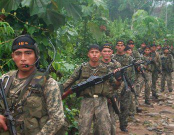 Soldados internados en la espesa selva
