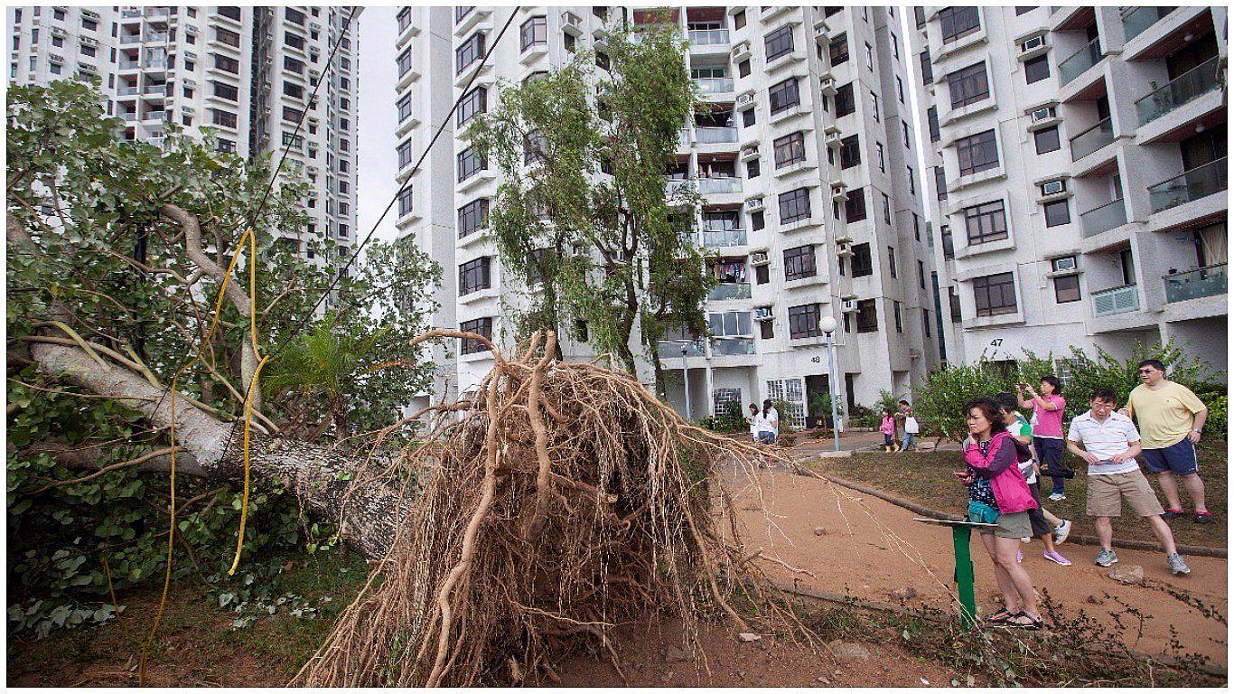 China: El tifón Hato deja al menos 16 muertos tras azotar a Macao y Hong Kong (VIDEO)