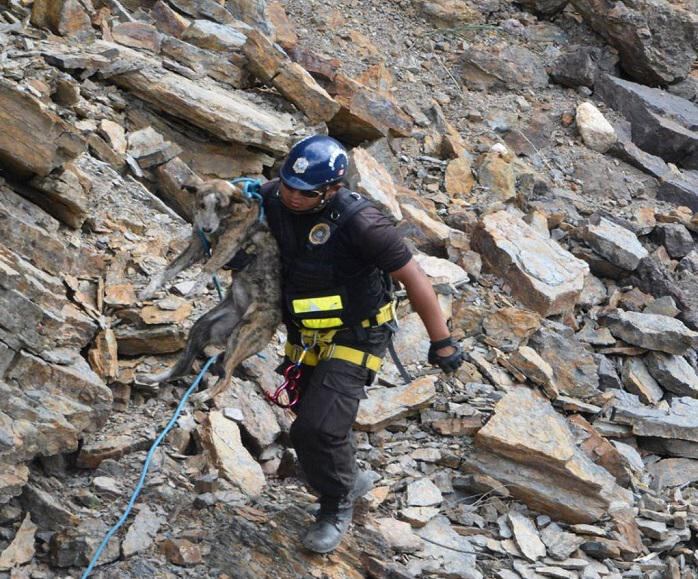 Facebook: Rescatan a perrita que cayó en acantilado (VIDEO)