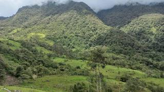 Ministro del Ambiente resalta belleza del Bosque Nublado Amaru: “Es una joya que el mundo debe conocer”