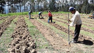 Pequeños agricultores necesitan de un FAE Agro