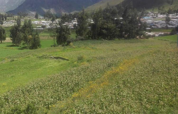 En Ichupampa dejaron de sembrar en andenes desde el sismo del 2016