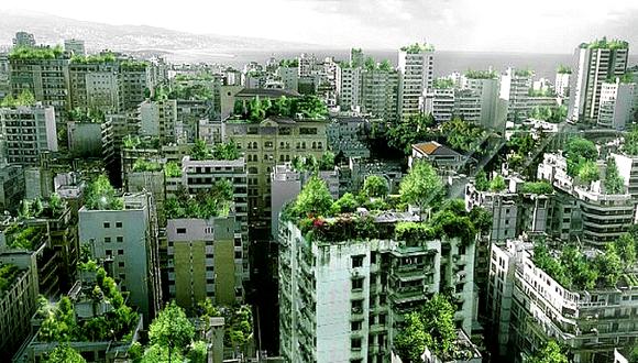 Miraflores: Aprueban ordenanza que promueve la construcción de edificaciones con techos verdes 