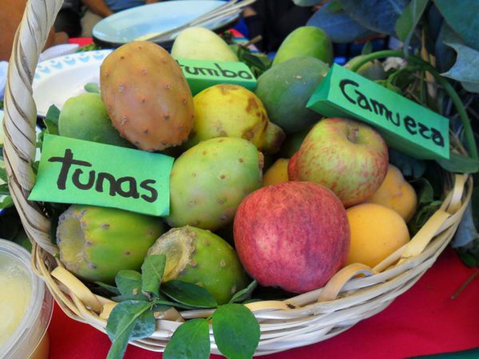 Escolares desbordan creatividad a través de 'estampas'