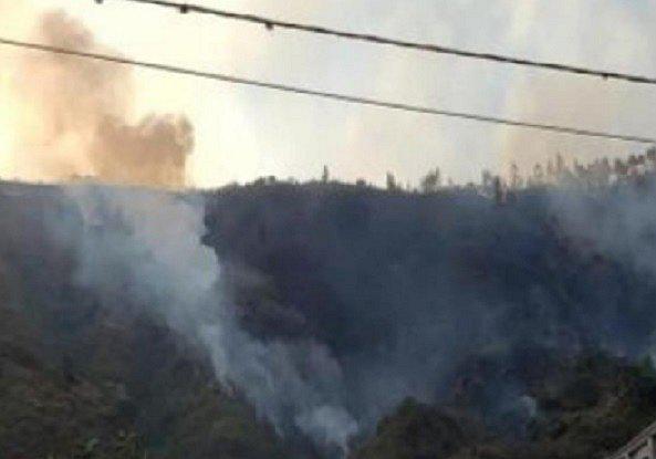 ​Extinguen incendios forestales en Áncash y Cusco