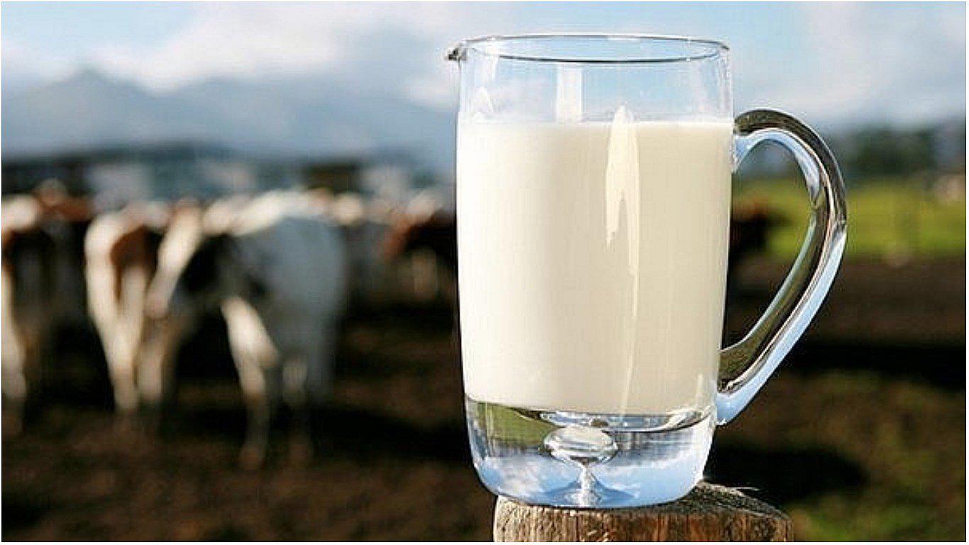 La leche forma parte de la alimentación humana desde que nacemos. Su consumo habitual, está comprobado, genera una mejora en la salud de las personas (Foto: Pixabay)