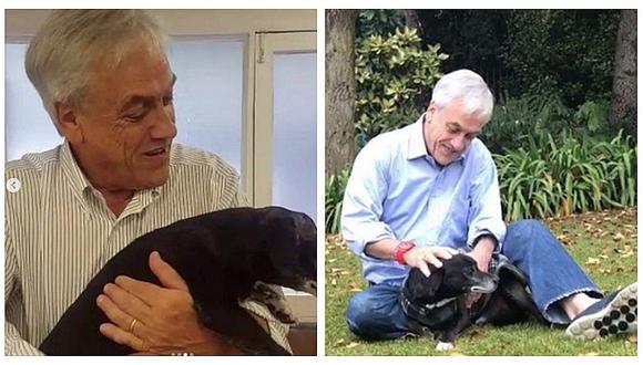 Presidente chileno recomienda adopción de mascotas tras lamentar muerte de su perro (FOTOS)