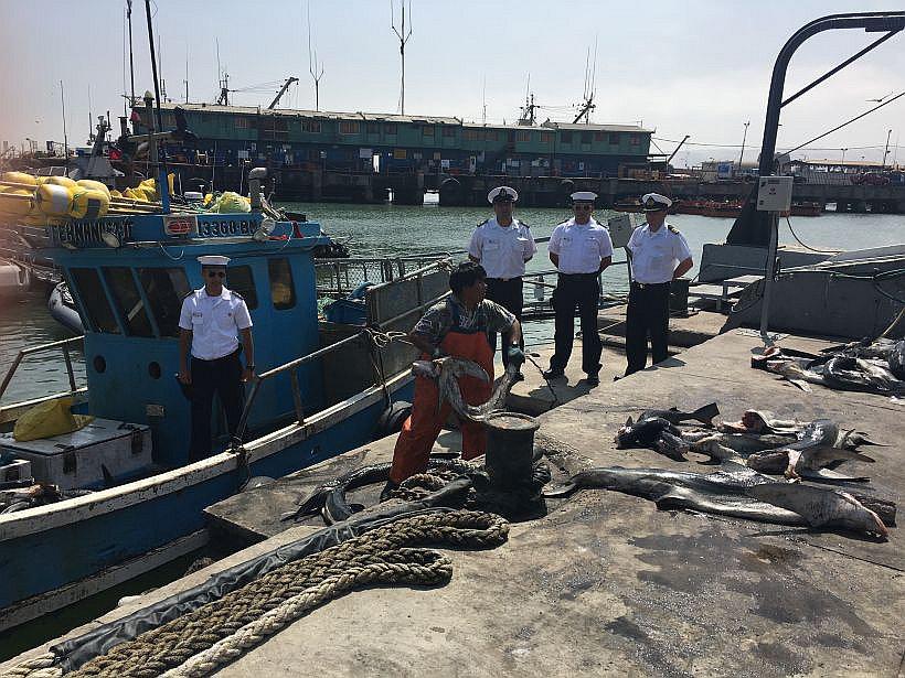 Chile deporta a pescadores peruanos que cazaron tiburones en zona exclusiva nacional 
