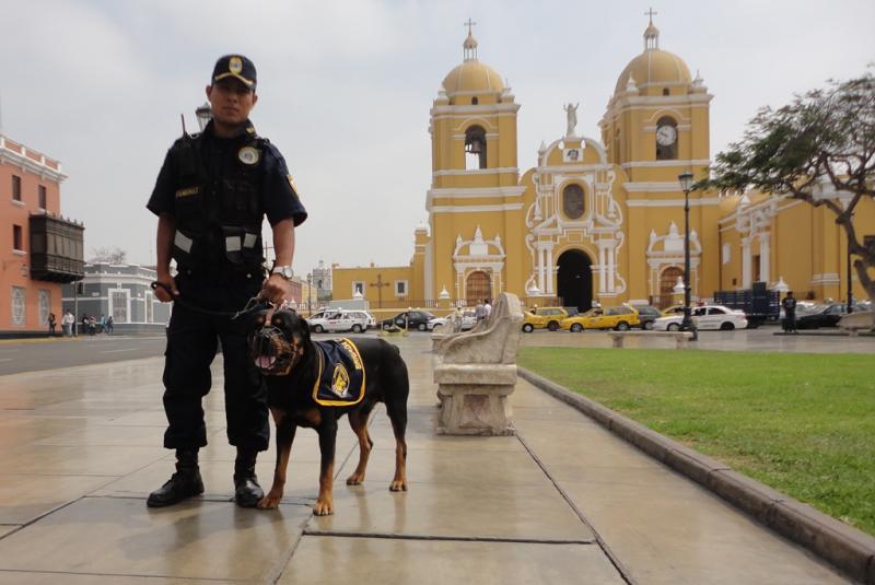Brigada canina de MPT con nuevos ejemplares 
