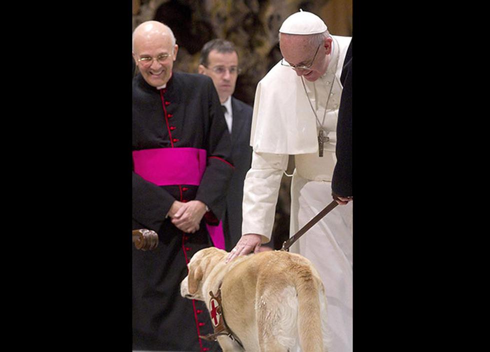Papa Francisco bendijo al perro guía de un periodista invidente (FOTOS)