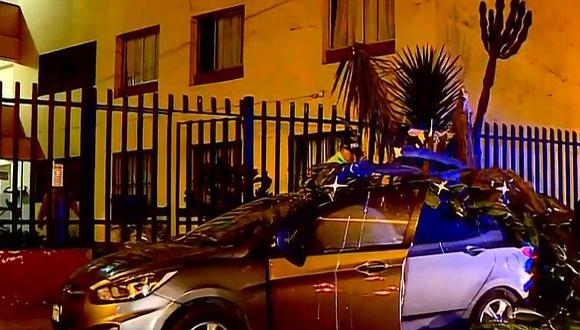 Enorme cactus cae sobre automóvil en Villa Militar de San Borja (VIDEO)
