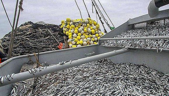 SNP: Peru debe avanzar en aplicar cuota a otras pesquerías