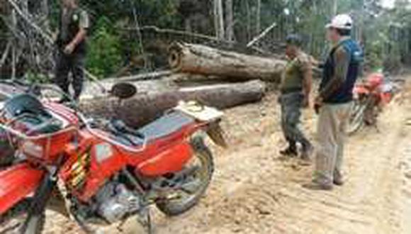 Policía decomisa 17 toneladas de leña ilegal