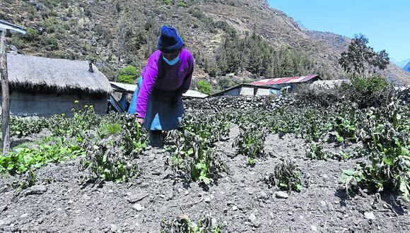 Las provincias más afectadas por estos desastres naturales son toda la parte de Selva Central, Junín, Chupaca, Concepción y Yauli