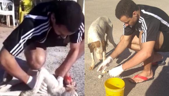 El estudiante de veterinaria no dudo en socorrer al animalito que había sido envenenado. (Foto: Globo 1)