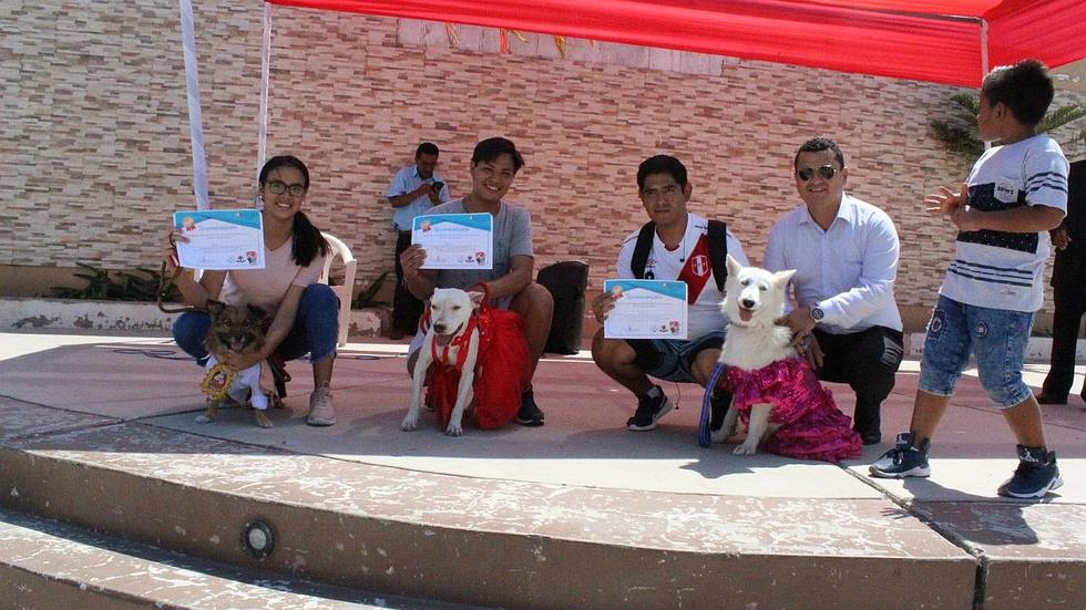 Mascotas lucen llamativos disfraces durante desfile por Fiestas Patrias (FOTOS Y VIDEO)