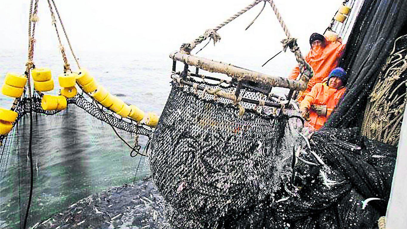 Industriales pescarán desde las 5 millas, anuncia ministro de Producción