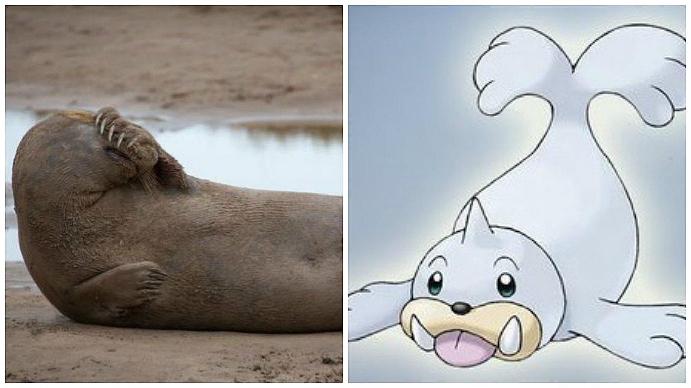 Pokémon Go: Retiran "pokeparada" porque asustaban a focas reales cazando "seels"