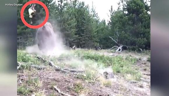 Niña sobrevive a inesperado ataque de un bisonte (VIDEO)