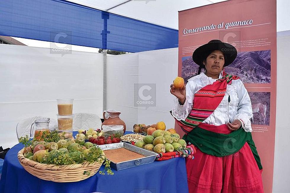 PNUD ejecuta diez proyectos en Tacna