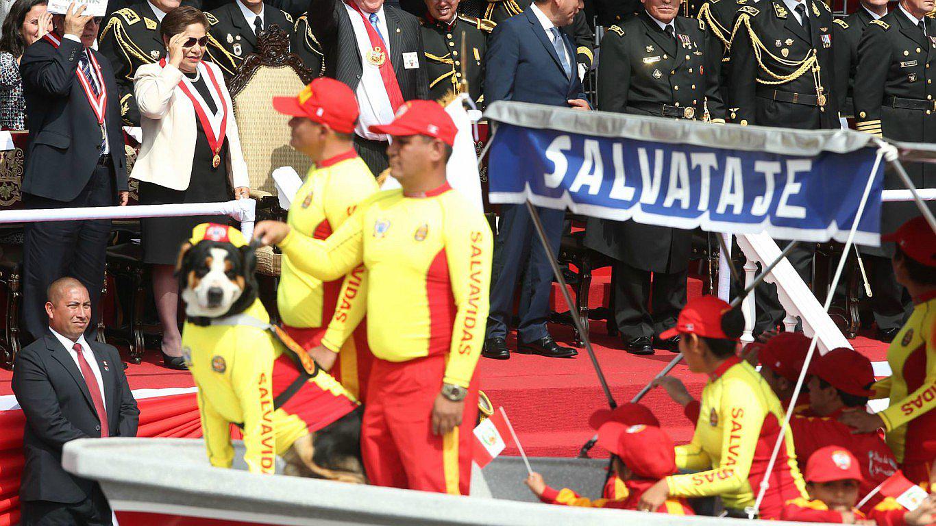 Mascotas de Pedro Pablo Kuczynski sorprenden en la Parada Militar