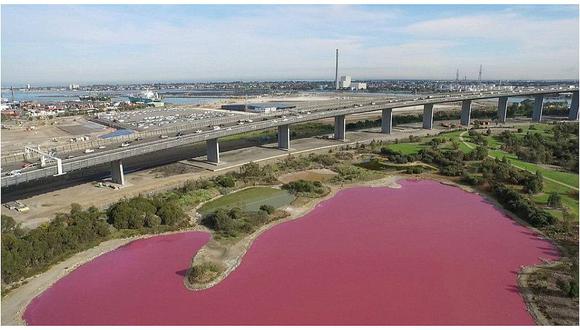 ¿Por qué este lago australiano se vuelve rosado cada verano? 