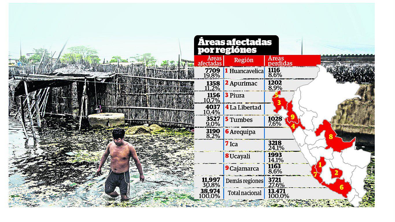 ​Niño costero: Más de 10 mil hectáreas agrícolas se han perdido en todo el país