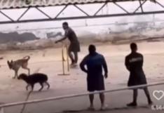 Caso de maltrato animal a perrito callejero en cuartel militar (VIDEO)