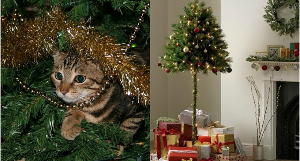 Tienda pone a la venta árbol de Navidad ideal para dueños que tienen