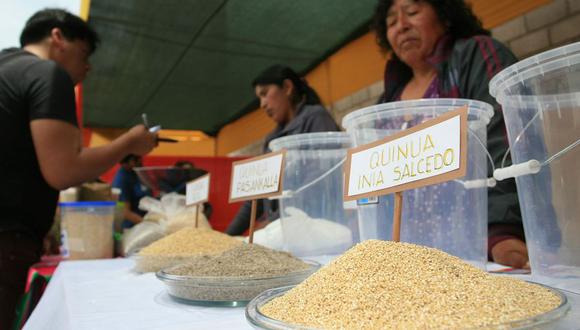Tacna: producción de quinua se redujo en un 40% este 2015