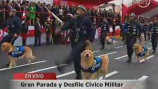 Unidad Canina de la Municipalidad de Lima desfiló en la Gran Parada Militar  