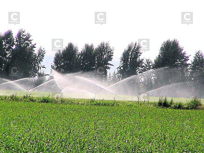 ANA: Reducirán módulo de riego a agricultores de Majes