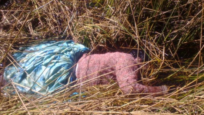 Sale de fiesta y aparece muerta en laguna de Huancané