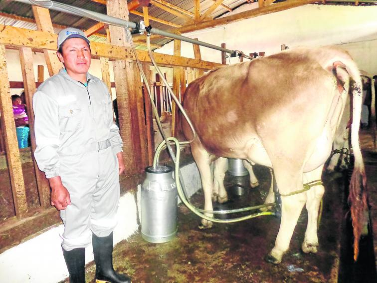 Huancayo: cambian ordeño a mano por modernas máquinas